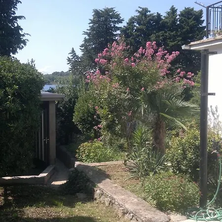 Apartman Kolman *